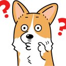 24시SNC동물메디컬센터 이미지