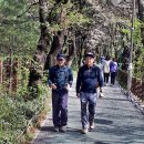 서리풀길 4 이미지