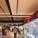 인형뽑는집 | [나고야] Day 4 | 사카에 인형뽑기 대형인형 두 마리 성공 후 이자카야 2차 후기