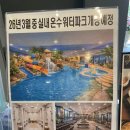 비바체 | 하동 펜션 추천 하동 가볼만한곳 하동비바체리조트 | 호수뷰 숙소 후기