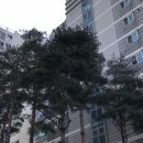 3차동부마트 이미지