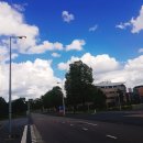 사이언스복싱스포츠센터 | [고려대-UvA 교환학생] 암스테르담 대학교 교환학생 후기!