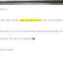 일타청소