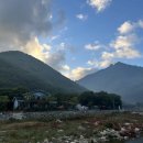 마음애고향 이미지