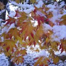 장수고등학교 이미지