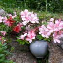 축령산휴림 이미지