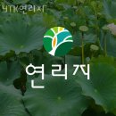 초평로 | 블루베리체험 YTK연리지 블루베리농장체험 가능 나이 비용 방법 후기
