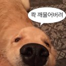 청운꽃농원 - 동구 팔공로 75 | 청운꽃농원