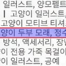 (주)어니스트코리아 이미지