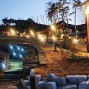 영천한방테마거리 이미지