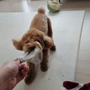 그룸 앤 먼치 네이버블로그