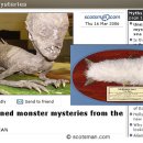 스토리(B) 이미지