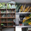 돔한의원 이미지