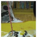 마트사랑으로 이미지