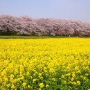 봉천 한의원 이미지