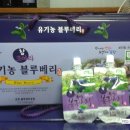 포항과채 이미지