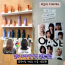 영양-8)영양군 횡단보도 | 가을염색은 전주 오아세헤어 전북대점 이소리디자이너