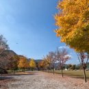 방림체육공원 축구장 이미지
