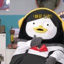 도토마카롱 네이버블로그