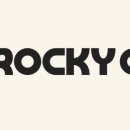 로키크로스핏 이미지