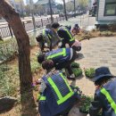 꽃향기가득한 이미지