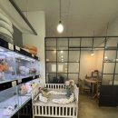 아이러브 독 | 아이러브독 인천점 입양후기 feat.첫번째 가족 마루