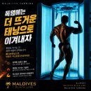몰디브태닝 - 서산시 예천7로 4-6 | 몰디브태닝