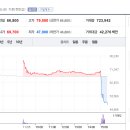 고점에서 하루 40% 하락한 주식 이미지