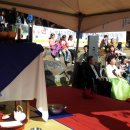 느티나무 할아버지 이미지