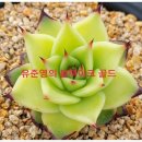 철화농장 이미지