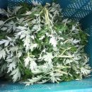 한빛농장 이미지