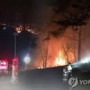 우면산3-18 이미지