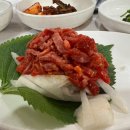 백송회관 티스토리