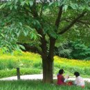 오후의휴식 이미지