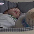 보초등록 이미지