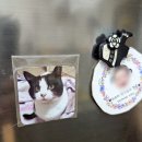 또와또 | 아이들과 함께 한 인천 제물포역분식 맛집 또와또와 방문 후기