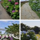 동광리-6 이미지