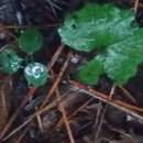 승리농장2 이미지