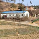 사성2리 티스토리