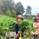 석호농장 이미지