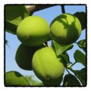 천안경희한의원 이미지