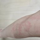 김천다이어트클럽 이미지