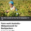 광업농장 | 퍼스 워홀 준비 필수! 농장 종류·시즌·지역 총정리 + 88일 세컨비자 가이드