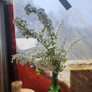 약수터국수매점 이미지