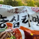 [알펜시아700 GC] 야간 라운드: 생라면의 추억과 운명적인 부부 조인!