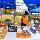 금마도로시 이미지