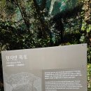 제주특별자치도서귀포시장애인부모회 | 천지연폭포 제주도 서귀포 봄 가족여행코스 가볼만한곳