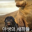 블룸앤테이블