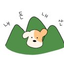 금화왕돈까스춘천만천점 이미지