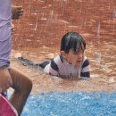 와와공원 | [울산 남구] 2024년 와와공원 물놀이장 후기